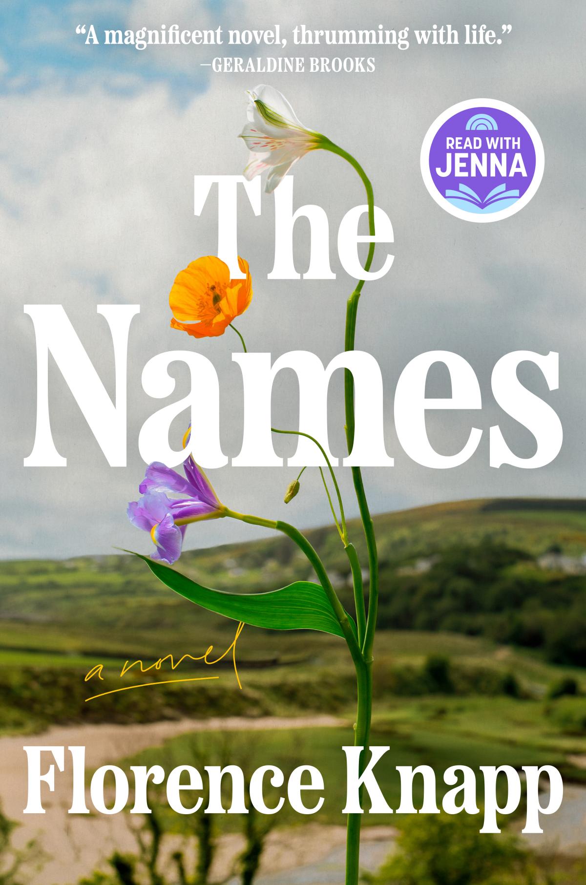 Cover art for The Names by Florence Knapp