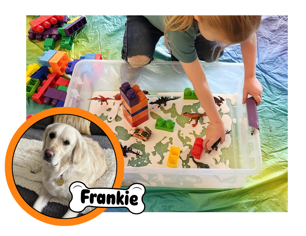 Little Explorers and Frankie the therapy dog at Franklin