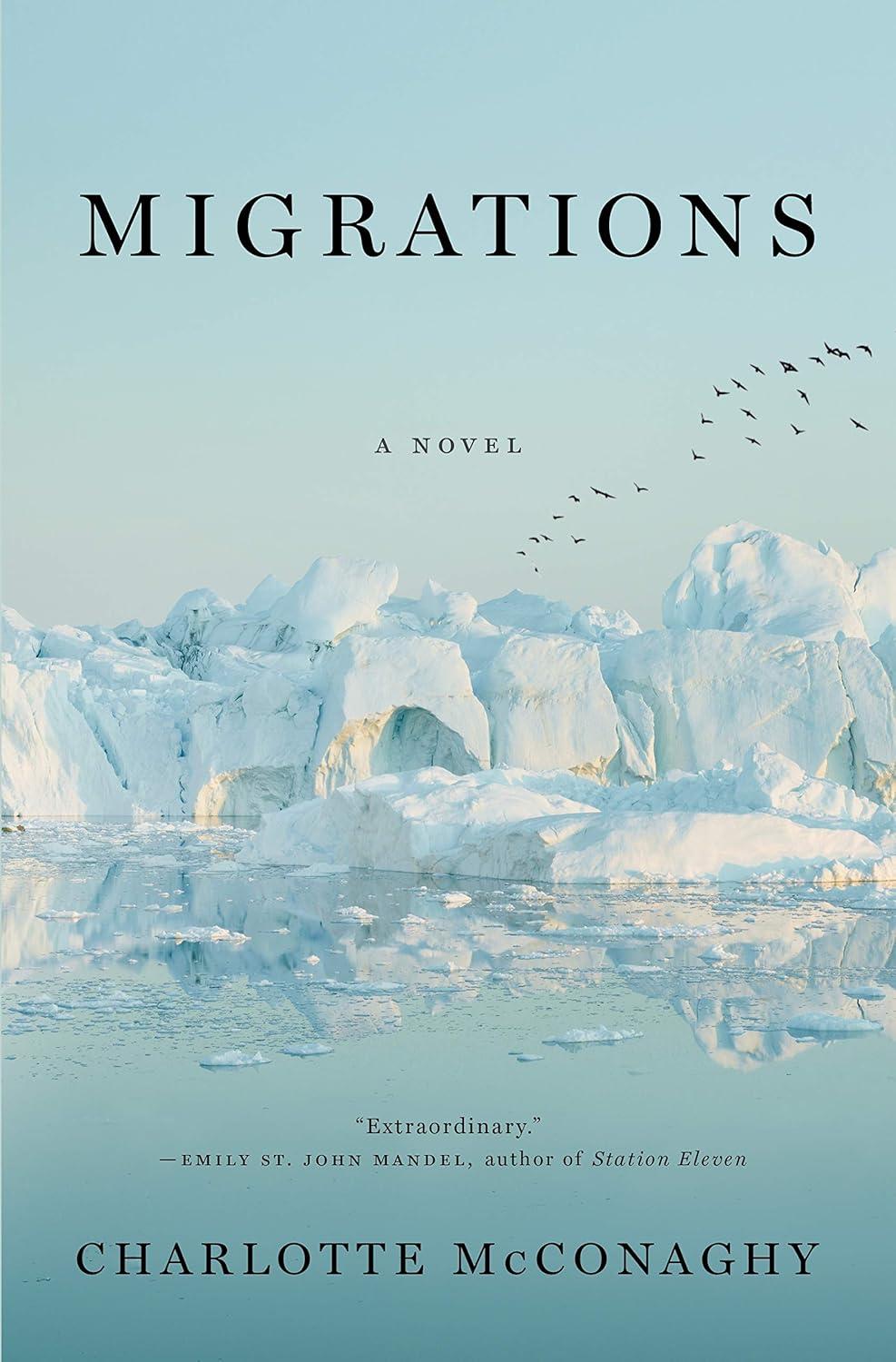 Cover of Migrations. An ice shelf with birds flying over
